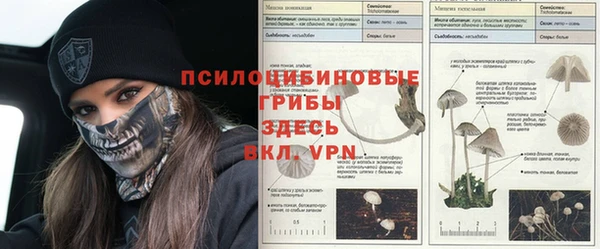 гидропоника Белая Калитва