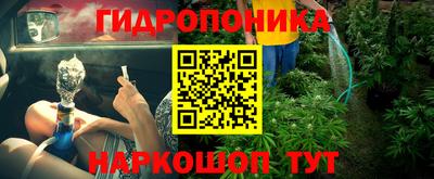 спиды Канаш