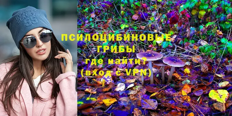 shop какой сайт  купить   Родники  Псилоцибиновые грибы Magic Shrooms 