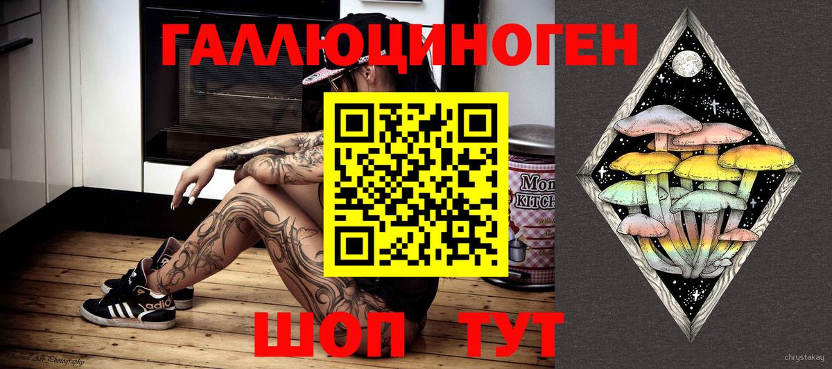 Псилоцибиновые грибы GOLDEN TEACHER  Родники  Псилоцибиновые грибы MAGIC MUSHROOMS 