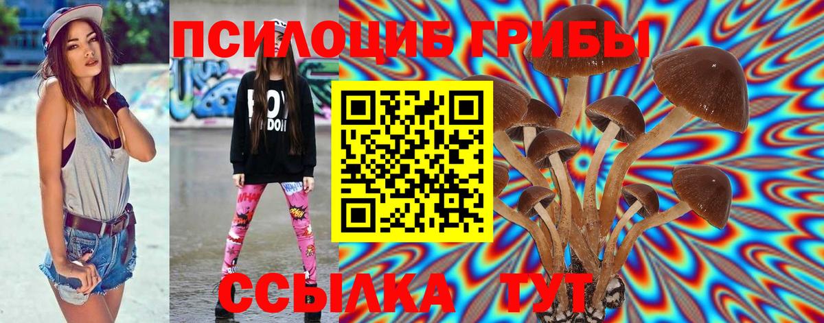 Молли  Вход с VPN  Где найти наркотики?  Родники  Плюхи  А ПВП  Мяу-Мяу 
