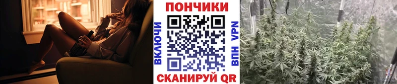 магазин продажи   Родники  Шишки марихуана OG Kush 